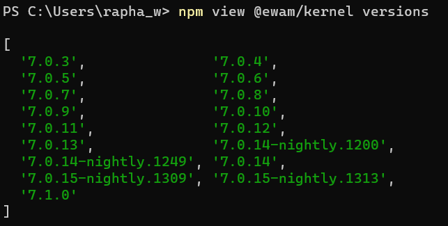 npm view @ewam/kernel versions results